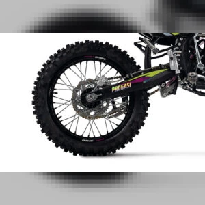 Мотоцикл эндуро Progasi GAUDI 300 (ZS CBS300) Purple Green 21/18  от официального дилера Darexmoto