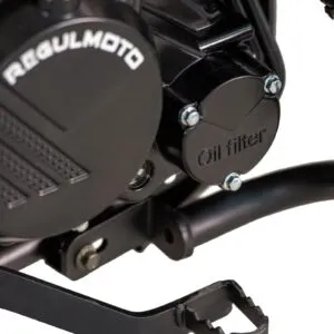 Мотоцикл Regulmoto XADV с ПТС  от официального дилера Darexmoto