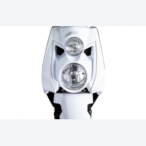 Скутер SPRMOTORS Carry Белый T8-50A  от официального дилера Darexmoto