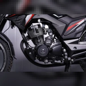 Мотоцикл дорожный SPRMOTORS FORTE FH250-Y9 чёрный  от официального дилера Darexmoto