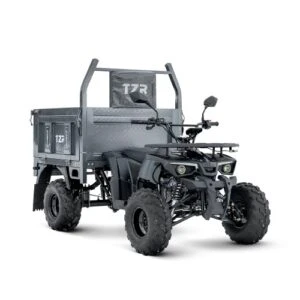Грузовой квадроцикл Русич TZR HUNTER 0200 от официального дилера Darexmoto