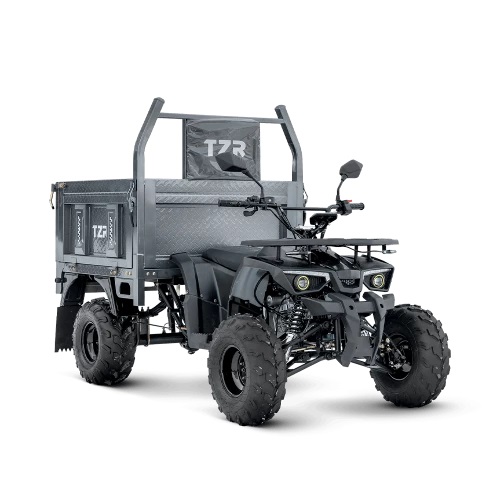 Грузовой квадроцикл Русич TZR HUNTER 0200